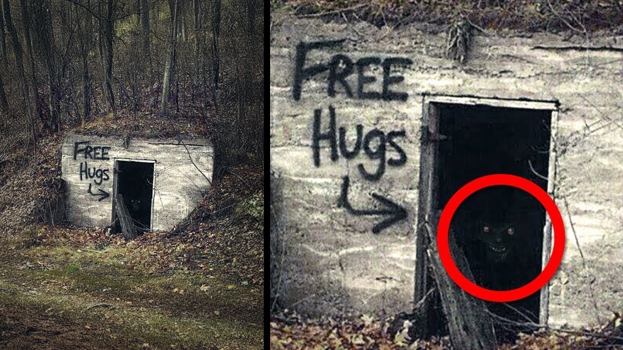 The Creepiest Things Found in the Woods That will Shock You