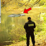 Woman Finds Her Stolen Car In Lake - Cries Out Loud When She Realizes What's Inside